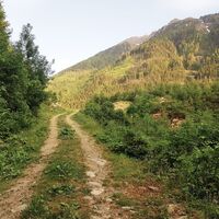 Blick zum Steinkarzinken