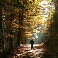 Kapellenpilgerweg im Pfälzerwald