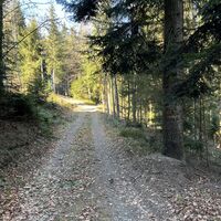 Von der Passkapelle links zunächst den asphaltierten Güterweg weiter, dann halblinks (Wegweiser) wieder auf Waldweg