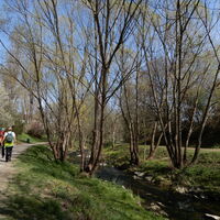 Hütteldorf - Lainzer Tiergarten - Liesing