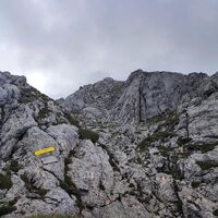 Rückblick