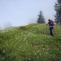 Opponitz Wandern