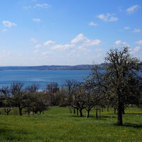 Blick über Nussdorf nach Dingelsdorf