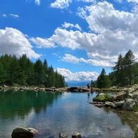 Teich der verstreuten Gewässer