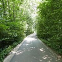 Auf der Staße Richtung Eiding