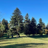 Freithofberg-Trail - Maria Neustift