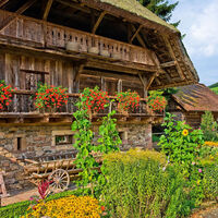 Museumsareal Historischer Speicher &amp; Alte Mühle