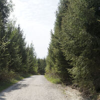 Prälatenweg nach Salem