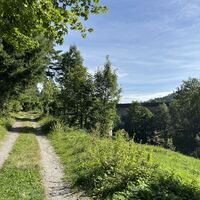 Weiter auf Forststraße