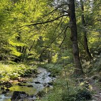 L3 Rinnerberger Trail