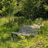 Etappe 13 Natursteig Sieg