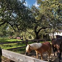 Hof bei Freiberg_NUP Pöllauer Tal_Oststeiermark