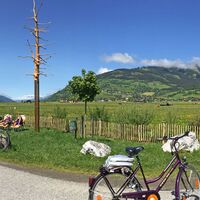 Rastplatz am Tauernradweg beim Schlangenbaum