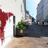 über die mur und wieder retour_img_26302527