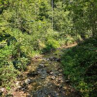 Scheffau_Kneippweg_Bach_Sommer