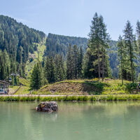 Zacan - Fassa Bike Park Campitello - ©Archivio APT Val di Fassa