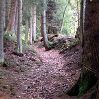 Totenweg im Göritztal