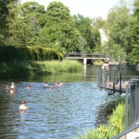 Biesebad als Naturbadstelle in der Hansestadt Osterburg