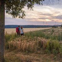 Wandern auf der Traumschleife Der Bietzerberger