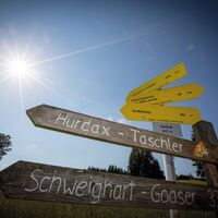 Wegweiser beim Hiedner (c) TV Region Graz - J.Lunghammer