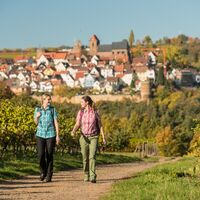 Blick auf das Burgdorf Neuleiningen