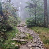 Wanderweg Bo 2, der Arber Klassiker