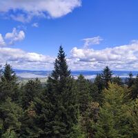 Moldaustauseeblick vom Bärenstein