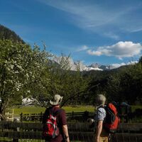 Poschenhöhe Wildalpen / Siebenseerunde
