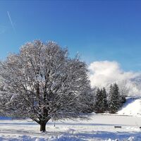 Reither See Winter