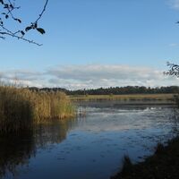 Naturschutzgebiet Roßweiher Maulbronn