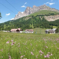 Passo Costalunga-Carezza - ©Archivio APT Val di Fassa