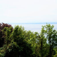 Wald und See