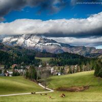 Blick nach Mitterbach und zum Ötscher
