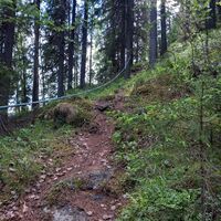 Manchmal gibt es auf dem Weg auch sehr anspruchsvolle Anstiege und Abstiege. Zur Unterstützung kann das neben dem Weg angebrachte Seil verwendet werden.