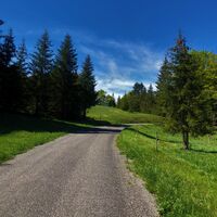 La combe du Mortier