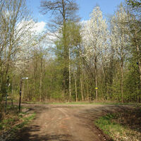 Kreuzfeld