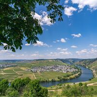 Moselschleife mit Blick auf Trittenheim