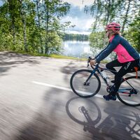 Tagesausflüge gehen schnell auf der Rückseite des Fahrrads