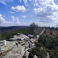 Rückblick vom Bayr. Plöckenstein