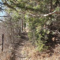 Trail zum Grünbacher Sattel
