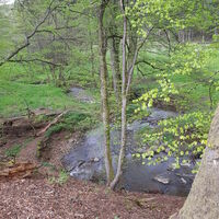 Landschaft