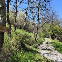 Strada per le Tre Croci