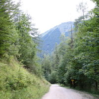 am Rückweg Forststraße Winkelbackgraben