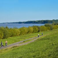 Radfahrer an der Elbe