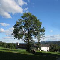 Arbesbach - Schönbach