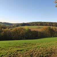 Haukuppenweg 08