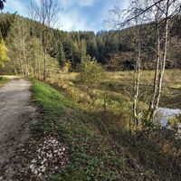 Feistritztalradweg, Joglland-Waldheimat in der Oststeiermark
