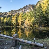 Stille Wasser: Wippe am Waldsee