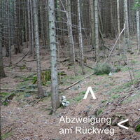 Abzweigung nach oben am Kardinal Nagl Steig