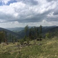 Ausblick vom Zetz_Naturpark Almenland_Oststeiermark